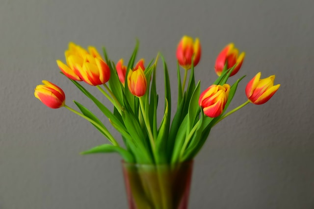 wie-man-einen-blumenstrauss-moglichst-lange-behalt